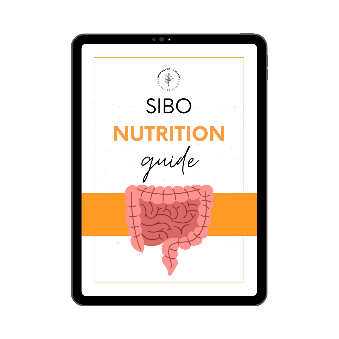 SIBO Nutrition Guide